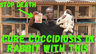 How to cure rabbit coccidiosis  use this stop death in rabbit [upl. by Stephani]