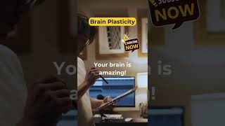 Brain Plasticity lifegrowth personalgrowth [upl. by Ameg]