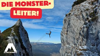 💥‼ GRANDIOSE 40 Meter RIESENLEITER am Donnerkogel Klettersteig 💥‼ [upl. by Anaerol]