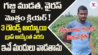 Mirapa గజ్జి ముడత వైరస్ మొత్తం క్లియర్ 3 రౌండ్స్ అయ్యాయి క్రాప్ అయ్యేంత వరకు ఇవే మందులు వాడతాను [upl. by Coretta]