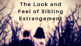 The Look and Feel of Sibling Estrangement [upl. by Notsecnirp]