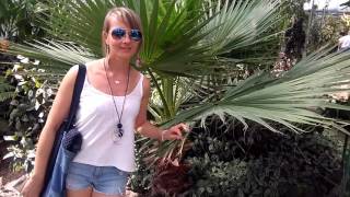 Cz2240 Palma Washingtonia filifera nitkowata Ogród botaniczny PAN Powsin [upl. by Doralin]