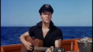 Elvis Presley  Song Of The Shrimp  1962 [upl. by Eremehc]