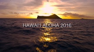 Hawaii Aloha  Song Across Hawaii  Playing For Change Collaboration [upl. by Moll304]