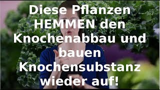 Knochen die nicht mehr heilen  Diese Pflanzen helfen [upl. by Llenwahs180]