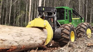 Amazing Forestry Logging Machine in Action  Forestry amp Logging Equipment 1 [upl. by Sadler]