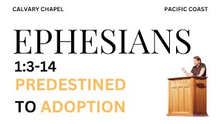 Predestined To Adoption  Ephesians 1314  Brian Sumner [upl. by Nemlaz]