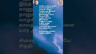 சின்னஞ்சிறு கிளியே song lyrics spb ilayaraja 80s90shit sjanaki மயிலே உன்னை நான் [upl. by Hussar]