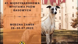 41 Międzynarodowa Wystawa Psów Rasowych Moszna  Best in Show [upl. by Heck]