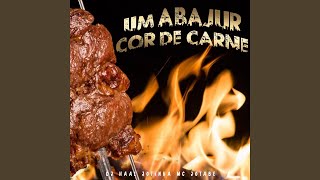 Um Abajur cor de carne Vrs Funk [upl. by Myles]