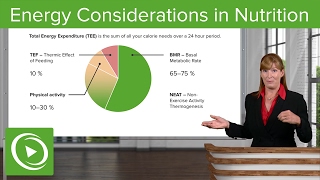 Energy Considerations in Nutrition BMR RMR amp Physical Activity – Nutrition  Lecturio [upl. by Hachman]