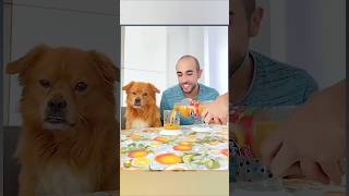 Prank 😂 with dog 🐕 funny 😂🤣 video viralvideos shorts [upl. by Nylknarf]