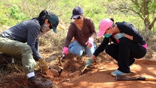 Internment camps hidden history uncovered by West Oahu students [upl. by Etnwahs]