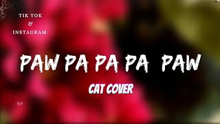 Paw Pa Pa Pa Pow Song GyurzCat Cover x Instrumental Full Song Tik Tok amp Reels [upl. by Salita]