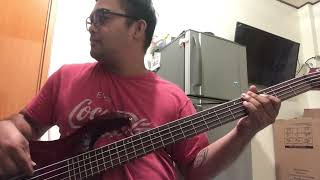 MrRoboto  Styx Bass Cover [upl. by Ahsocin]