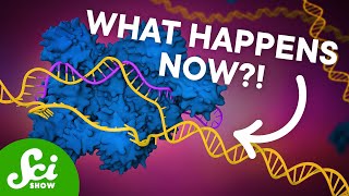 The First CRISPR Gene Therapy Is Here [upl. by Aitnahc]