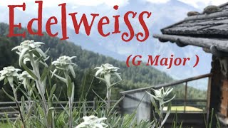 Edelweiss Instrumental G major lyrics tomysimson instrumental [upl. by Teryn928]