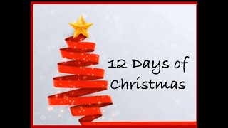 12 Days of Christmas  Day 12 Lets Go [upl. by Einahpts]