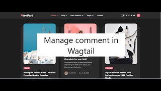 Manage comment in Wagtail PART 12  Django and Wagtail CMS [upl. by Longerich78]