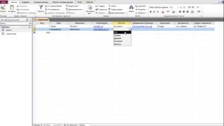 Создание базы данных Телефонный справочник в Access 2010 [upl. by Baudelaire]