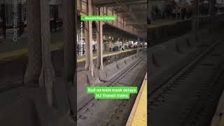 Bull on train track delays NJ Transit trains at Newark Penn Station [upl. by Eras429]