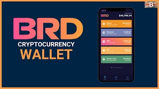 BRD Wallet Review amp Tutorial Simple amp Secure Crypto Wallet [upl. by Bearce]