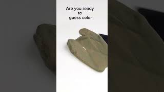 Are You Ready To Guess Color colormixing shortsvideo [upl. by Suired332]