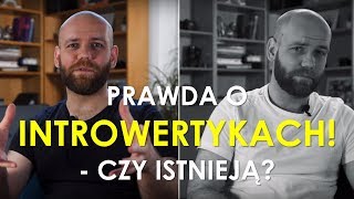 Mit introwertyka Czym naprawdę jest INTROWERSJA i ekstrawersja [upl. by Reham]