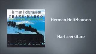 Herman Holtzhausen  Hartseerkitare [upl. by Tnek979]