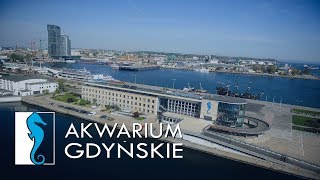 AKWARIUM GDYŃSKIE👌🇵🇱 [upl. by Ardnohsal]