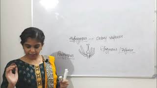 Morphology of Flowering Plants class11biology biology cbse [upl. by Rannug]