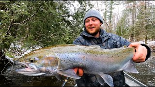 Exciting River Steelhead Fishing [upl. by Seana67]