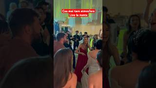 Mălina Avasiloaie live la nunta Contact 0757714595 [upl. by Drahsir]