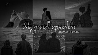 නිදහසේ අහන්න sinhala slowed  Reverb Collections  DEZTER BEATS [upl. by Twedy941]