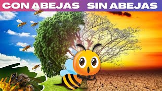 ¿CÓMO SALVAR A LAS ABEJAS  Vídeos Educativos para Niños [upl. by Eihcra]