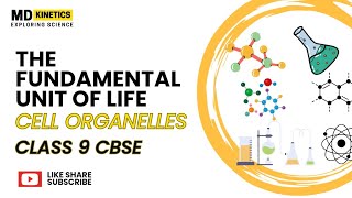 Class 9  The Fundamental Unit Of Life Cell Organelles Mukesh Sir [upl. by Marcie]