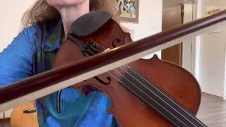 Fiddle  Cherokee Shuffle [upl. by Gibbs]