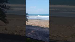 Magical Surf Day Miyazaki Japan October 1st 2024 [upl. by Knox]