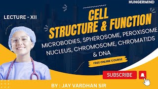 MICROBODIES SPHEROSOME PEROXISOME NUCLEUS CHROMOSOME CHROMATIDS DNA  hungermind [upl. by Dleifniw]