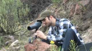 Colorado 2060x60 Spotting Scope from Barska CO11502 [upl. by Ximenes66]