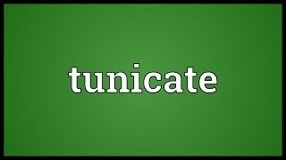 Tunicate Meaning [upl. by Eng]