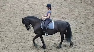 Horseriding Turn on the haunches Keertwending rijden Friesian Horse [upl. by Salangi732]