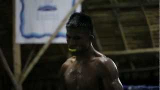 Buakaw  AMAZING Fighter Highlights by Johan Lofgren [upl. by Ahsielat]