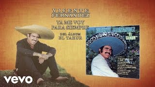 Vicente Fernández  El Arracadas LetraLyrics [upl. by Nerine647]