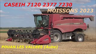 MOISSONS 2023  CASEIH  7120 2377 7230  POUAN LES VALLEES AUBE [upl. by Nayab]