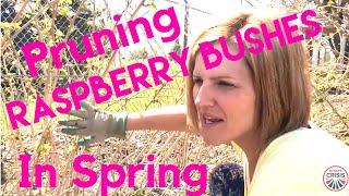 Pruning Raspberry Bushes in Spring  MomLife Crisis  How Tos [upl. by Ralli]