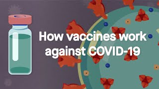 How vaccines work against COVID19 Science Simplified [upl. by Manya]