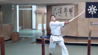 Yukishiro Obata Shinkendo Inazuma practice [upl. by Ehgit370]