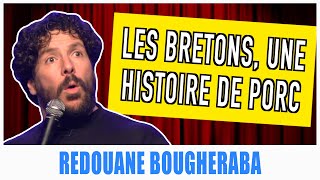 LES BRETONS UNE HISTOIRE DE PORC  REDOUANE BOUGHERABA [upl. by Nealah803]