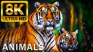 TOP 50 BEAUTIFUL ANIMALS  4K HDR 120fps Dolby Vision with Animal Sounds Colorfully Dynamic [upl. by Taggart348]